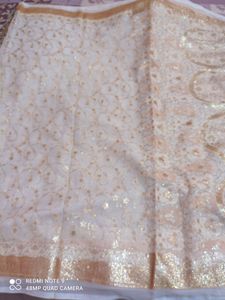half white  glitter saree