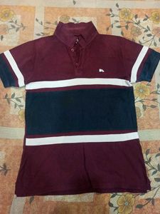 Striped Polo T-Shirt