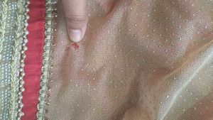 Pink &amp; Gold Embellished Saree