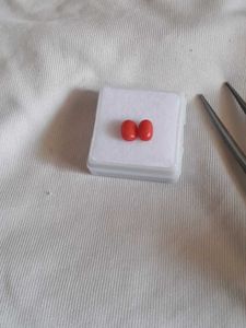 Natural red Coral..moonga