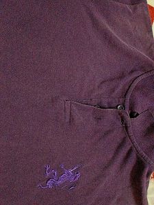 Purple Polo T-Shirt