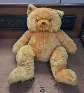 teddy bear