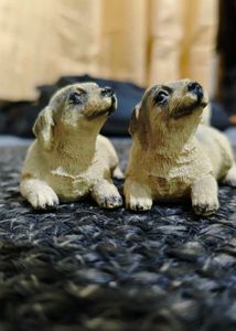 Dogs Show Piece