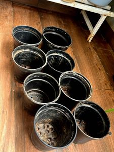 Plant Pots - Set of 8