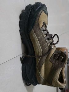 Original woodland Trekking Shoes