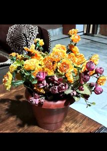 Combo Of Multiple Flower Bunches Without Pot