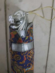 Lion Umbrella Never Used