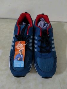 Asian Brand New Shoes With Tag