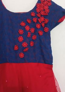 Ethnic Gowns