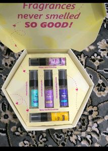 Plum Discovery Kit