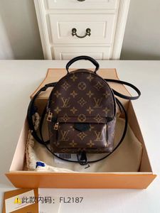 ask before- Louis Vuitton Mini Backpack