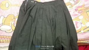 School Skirt