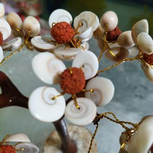 Laxmi Vastu Chakra Rudraksh Tree Money &amp; H