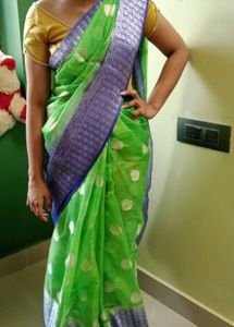 Green Saree With Blue Border 💚💙