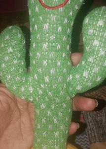 Singing Nd Dancing Cactus