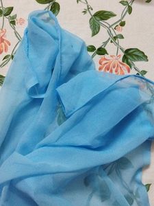 Blue Duppatta