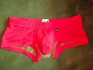 Red Divine Permanent Briefs