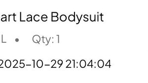 Wine Corset bodysuit- NEWME ( brand new)