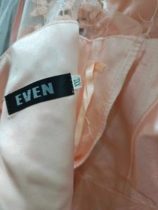 Elegant Light Pink Gown