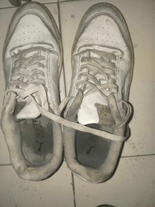 Puma Sneakers Used