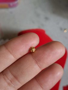 Cute Gold Nose Pin