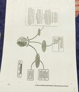 Quick Revision Notes Of All Subjects 10th