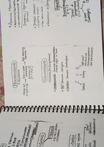 KV EDUCATION NOTES PRINT OUT