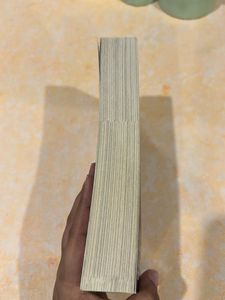 THE FINE PRINT NOVEL