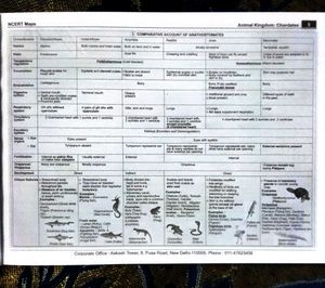 NCERT Maps for NEET - Botany &amp; Zoology
