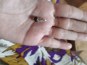 Pur Silver Hoop With Rudraksh✨