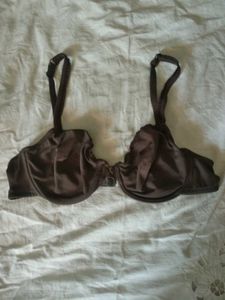 Beautiful Brown Under Wire Pushup Bra