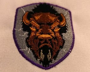 * Embroidery Patches - 2 Pieces - Fashion Symbol *