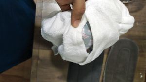 Combo Of Two Cloth Diapers