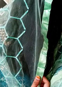 Net Dupatta