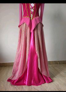 Aurora Costume Dress