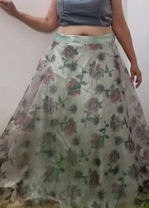 Organza Skirt With Blouse