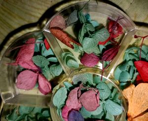 Dry Flower For Resin