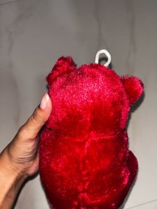 Small Red Teddy