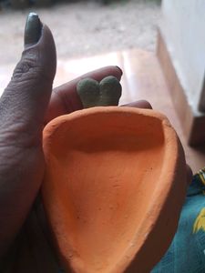 Trinket Dish