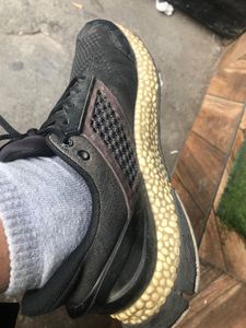 Puma bounce