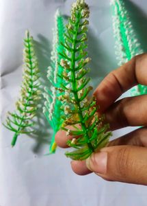 Small Tree Decoration