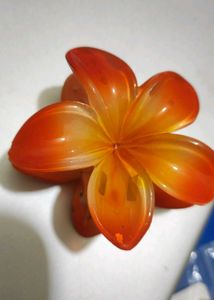 Colorful Flower Hair Clips Set Of 2