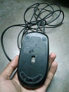 Mouse