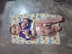 Baby Bed