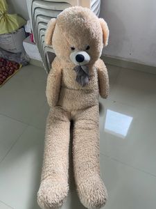 Giant Teddy