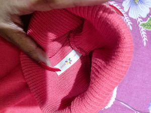Florescent Sweater With High Neck