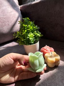 Tulip Candles &amp; Cube Candle