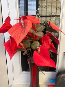 Red Anthurium Arrangement