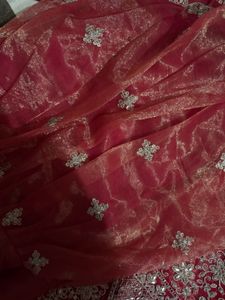 Red Net Embellished Dupatta