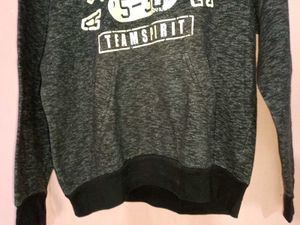 Team Spirit Hoodie for mens